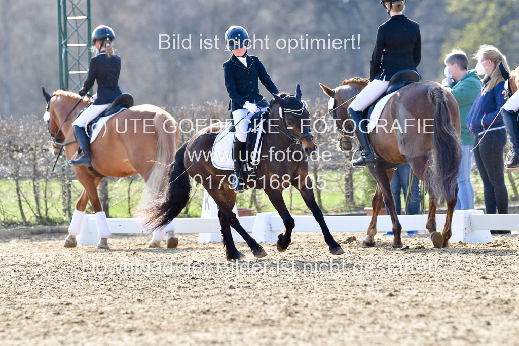 Reitsportzentrum Bremervörde | Reiter WB 2 Abt _070