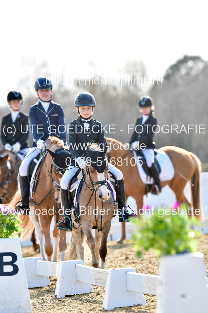 Reitsportzentrum Bremervörde | Reiter WB 2 Abt _071