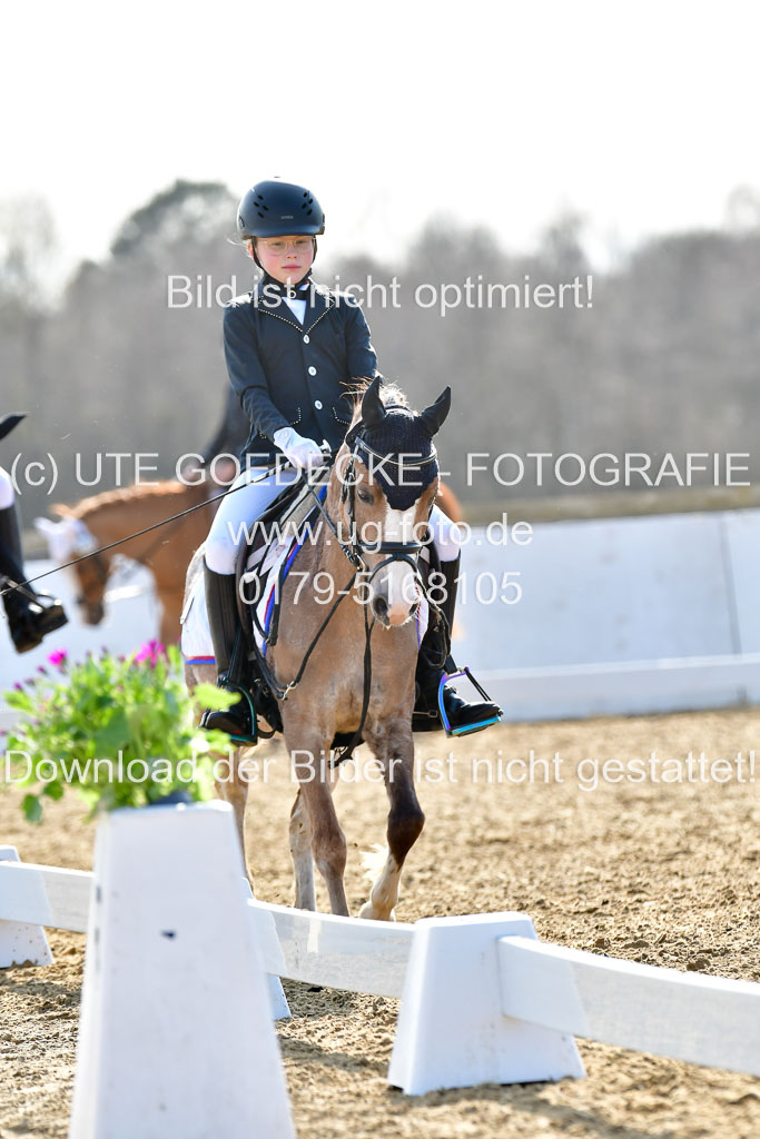 Reitsportzentrum Bremervörde | Reiter WB 2 Abt _072