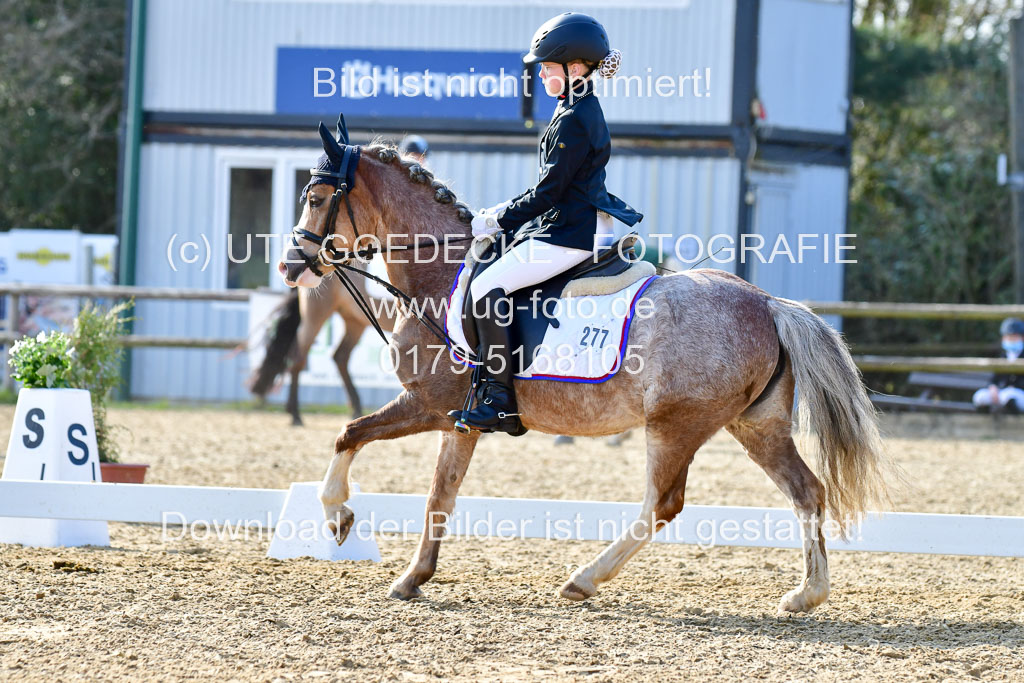 Reitsportzentrum Bremervörde | Reiter WB 2 Abt _074