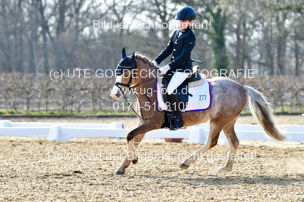 Reitsportzentrum Bremervörde | Reiter WB 2 Abt _076