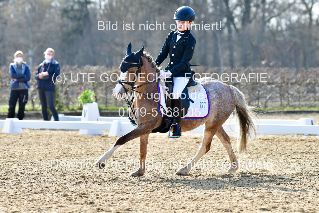 Reitsportzentrum Bremervörde | Reiter WB 2 Abt _078