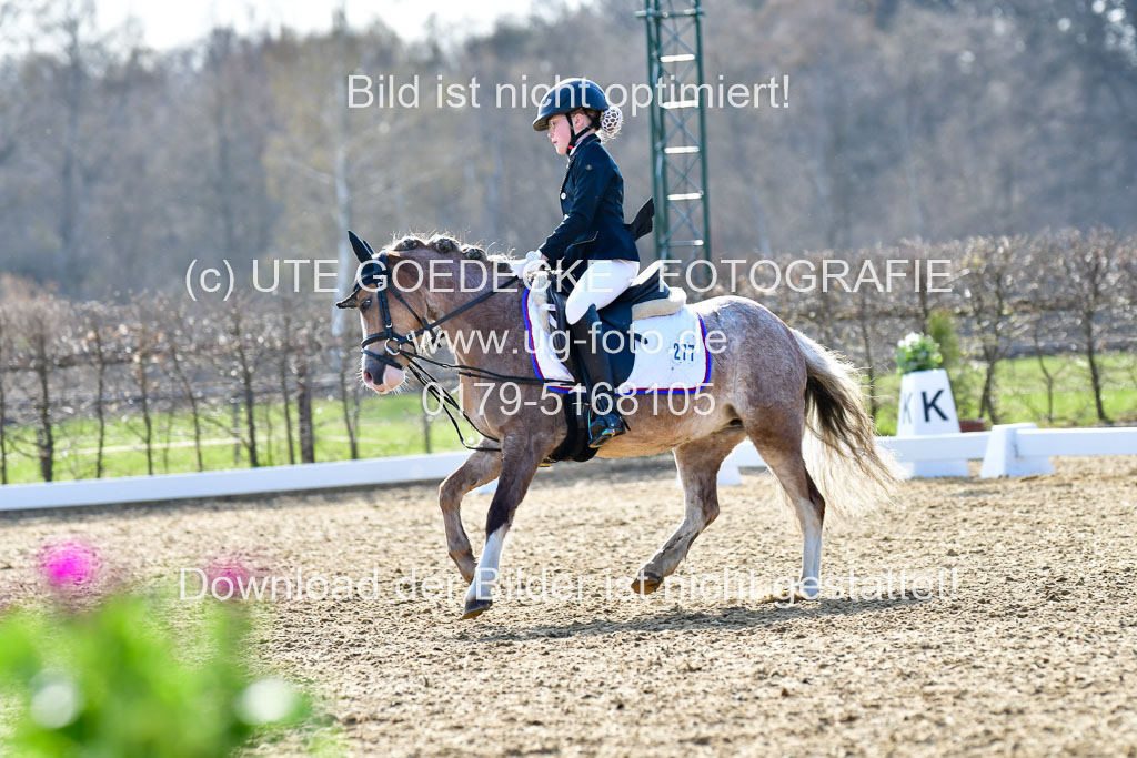 Reitsportzentrum Bremervörde | Reiter WB 2 Abt _079