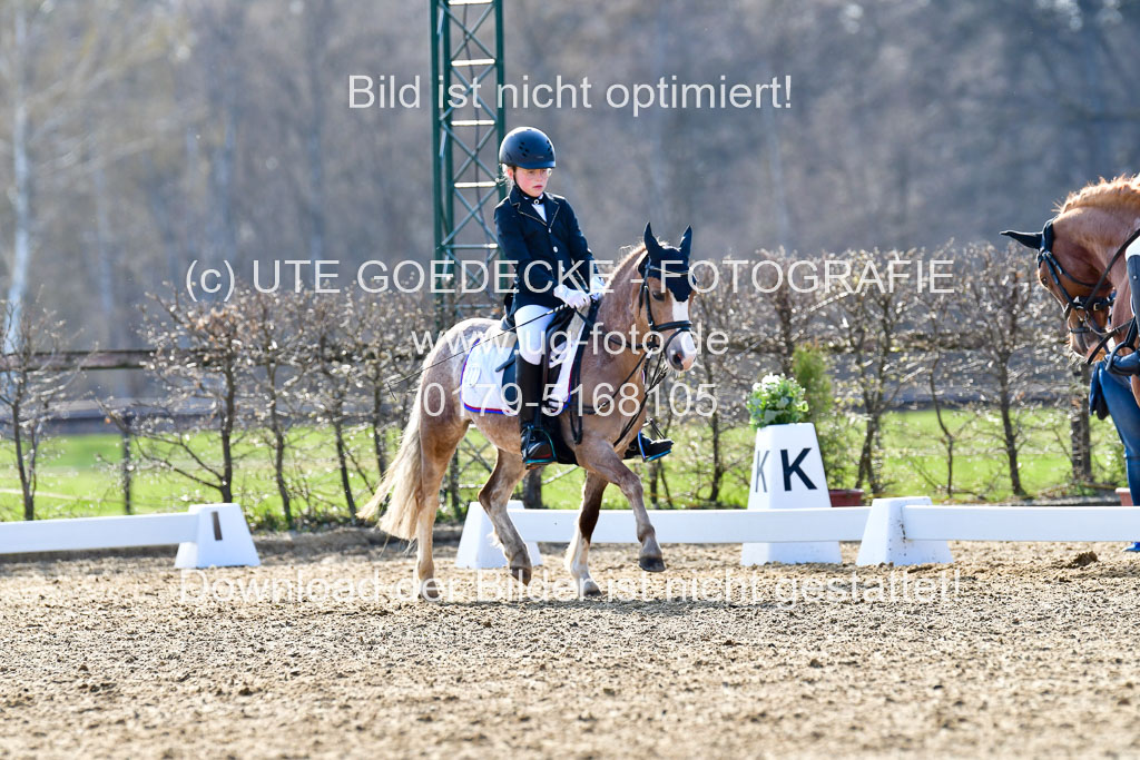 Reitsportzentrum Bremervörde | Reiter WB 2 Abt _080