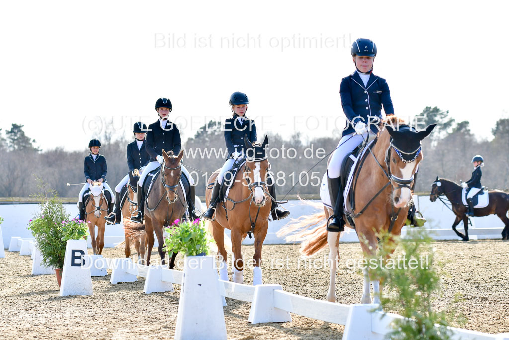 Reitsportzentrum Bremervörde | Reiter WB 2 Abt _081