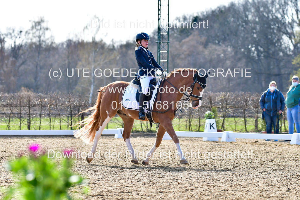 Reitsportzentrum Bremervörde | Reiter WB 2 Abt _084