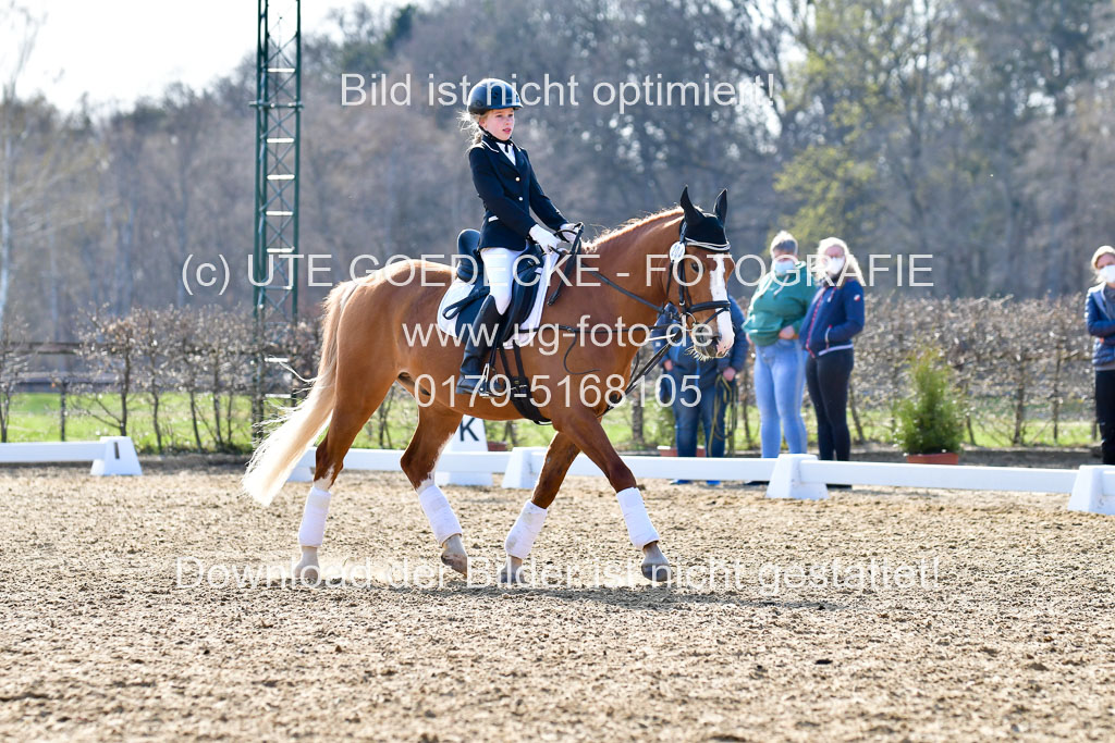 Reitsportzentrum Bremervörde | Reiter WB 2 Abt _085