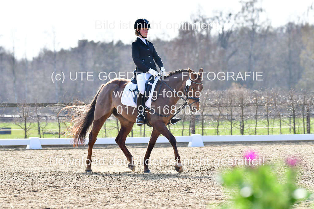 Reitsportzentrum Bremervörde | Reiter WB 2 Abt _086