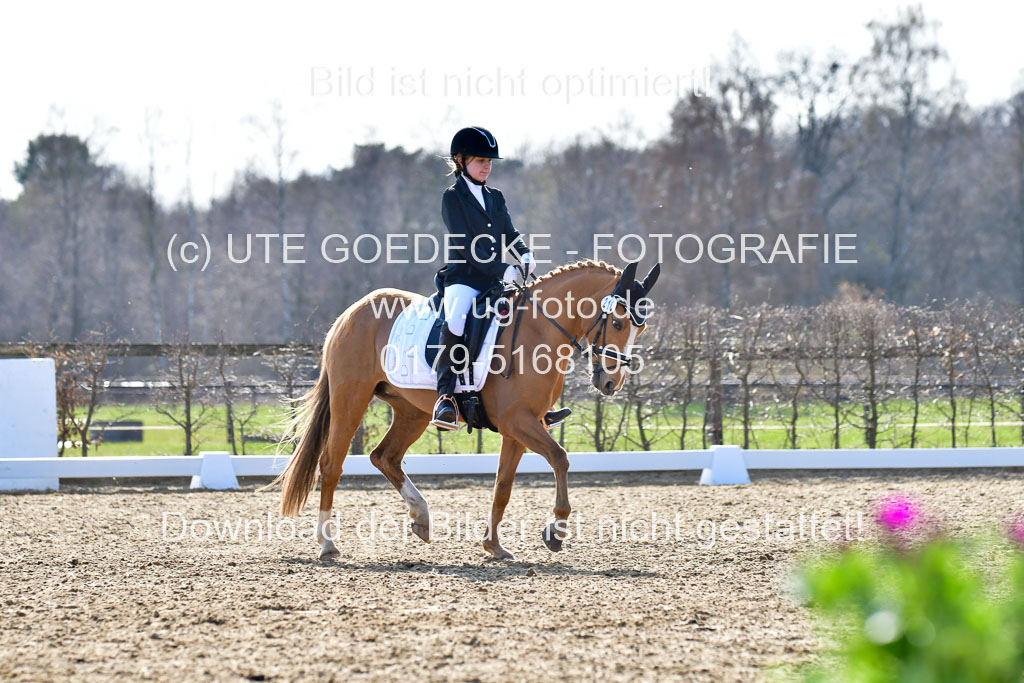 Reitsportzentrum Bremervörde | Reiter WB 2 Abt _087