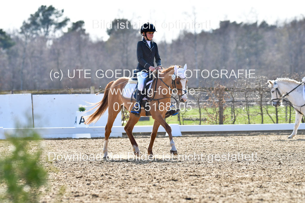 Reitsportzentrum Bremervörde | Reiter WB 2 Abt _088