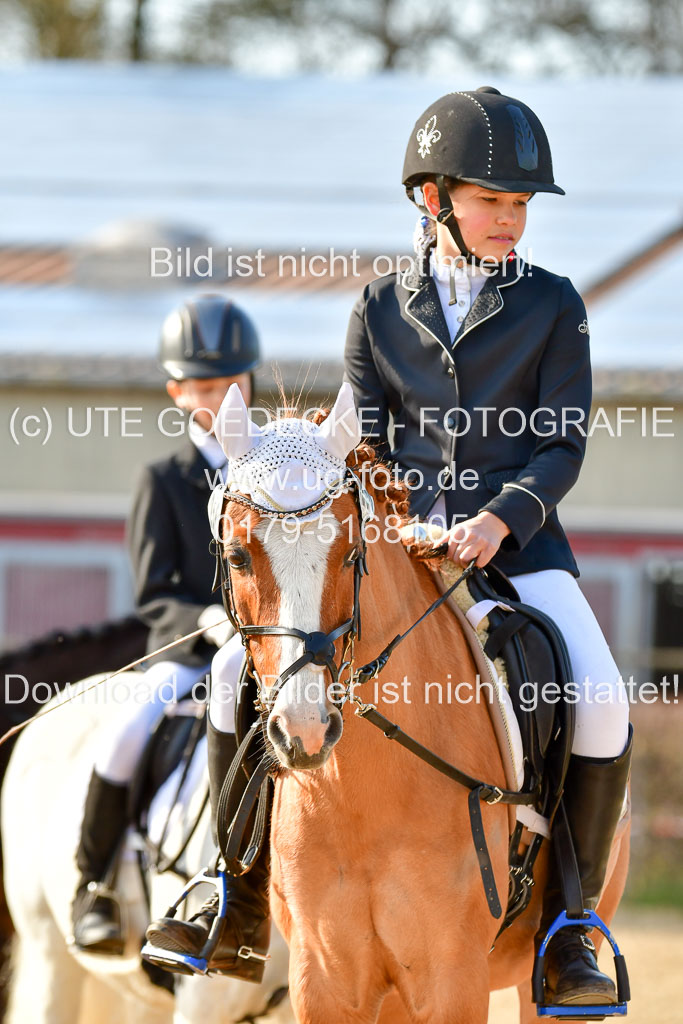 Reitsportzentrum Bremervörde | Reiter WB 2 Abt _098
