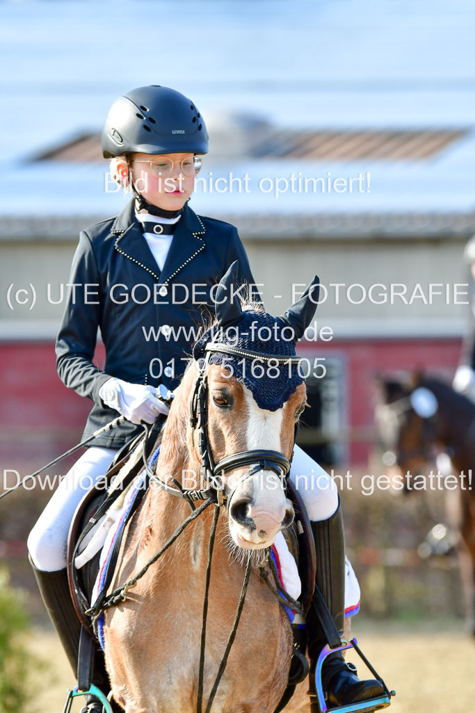 Reitsportzentrum Bremervörde | Reiter WB 2 Abt _106