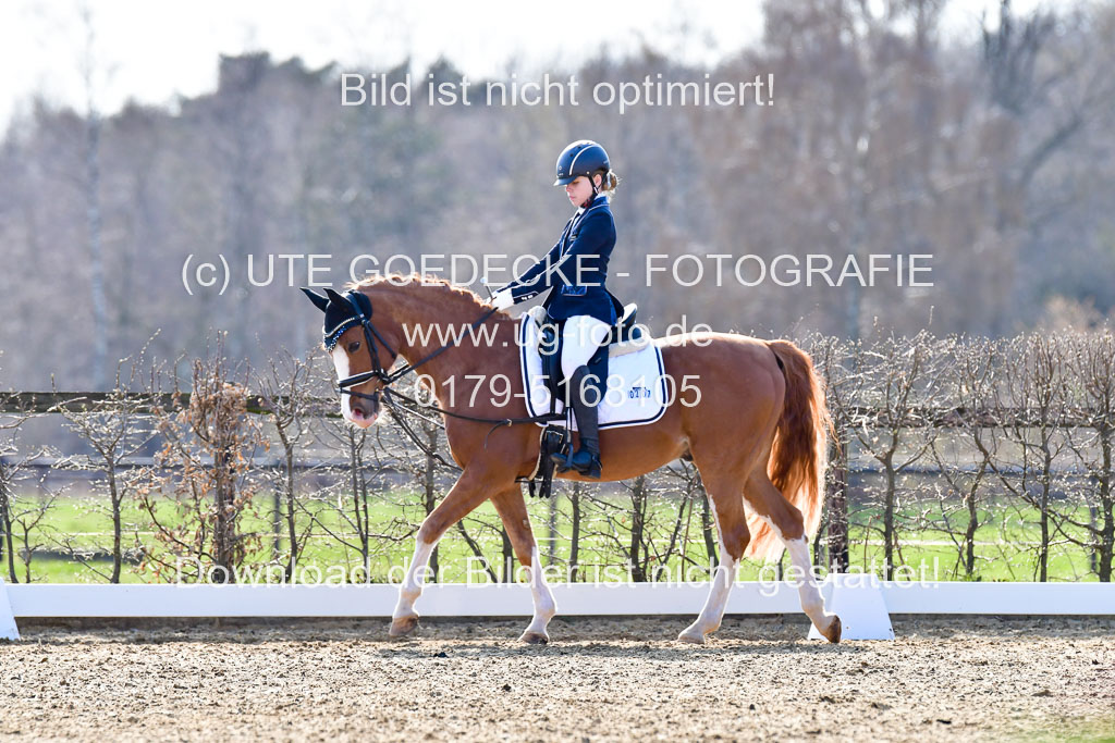 Reitsportzentrum Bremervörde | Reiter WB 2 Abt