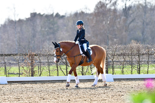 Reitsportzentrum Bremervörde | Reiter WB 2 Abt _002 