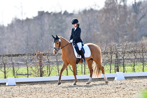 Reitsportzentrum Bremervörde | Reiter WB 2 Abt _003 
