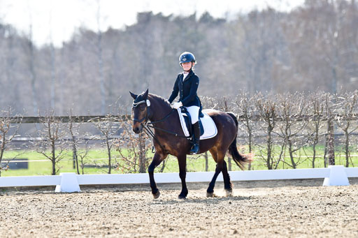Reitsportzentrum Bremervörde | Reiter WB 2 Abt _006 