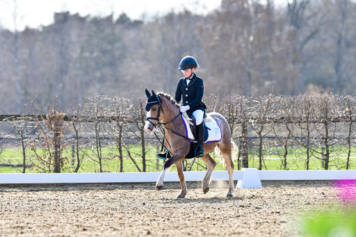 Reitsportzentrum Bremervörde | Reiter WB 2 Abt _007 