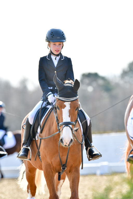 Reitsportzentrum Bremervörde | Reiter WB 2 Abt _011 