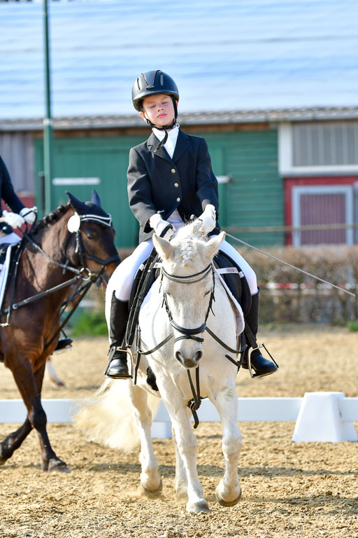 Reitsportzentrum Bremervörde | Reiter WB 2 Abt _034 