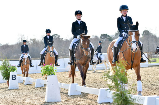 Reitsportzentrum Bremervörde | Reiter WB 2 Abt _039 