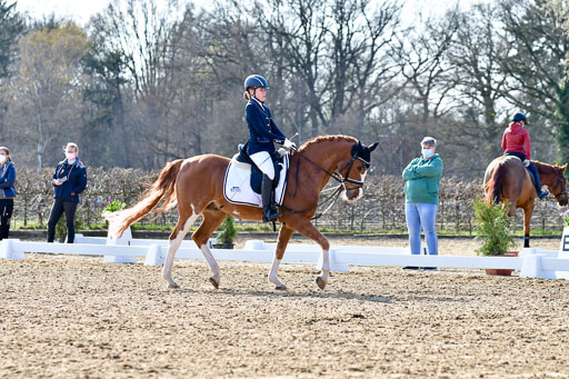 Reitsportzentrum Bremervörde | Reiter WB 2 Abt _042 