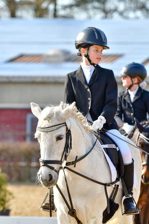 Reitsportzentrum Bremervörde | Reiter WB 2 Abt _100 