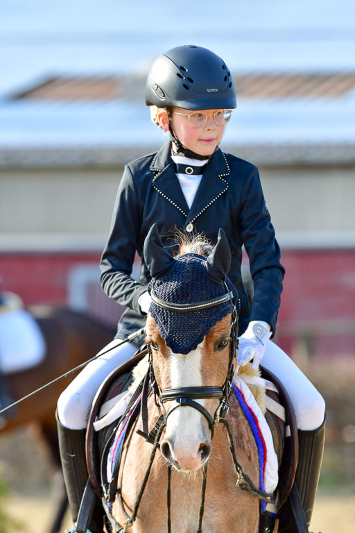 Reitsportzentrum Bremervörde | Reiter WB 2 Abt _107 