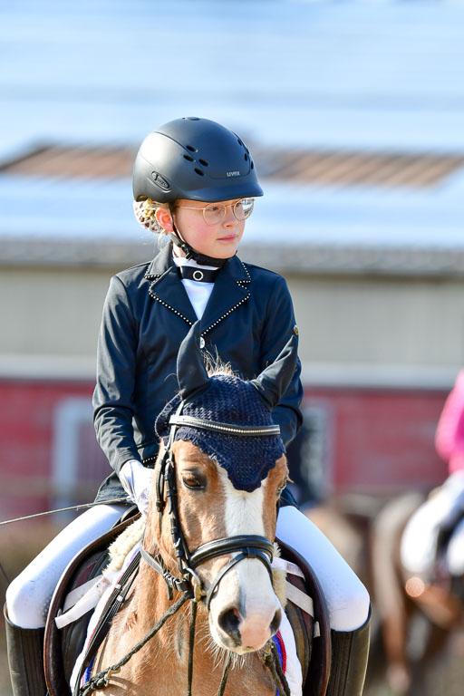 Reitsportzentrum Bremervörde | Reiter WB 2 Abt _108 