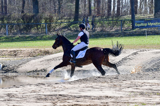 Luhmühlen Geländepferdetag 31.03.21 | 31032021 GPF A++  2 Abt_018 