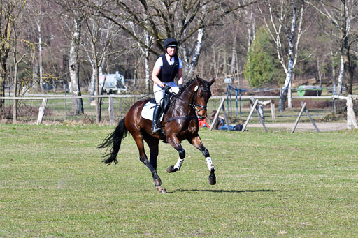 Luhmühlen Geländepferdetag 31.03.21 | 31032021 GPF A++  2 Abt_021 