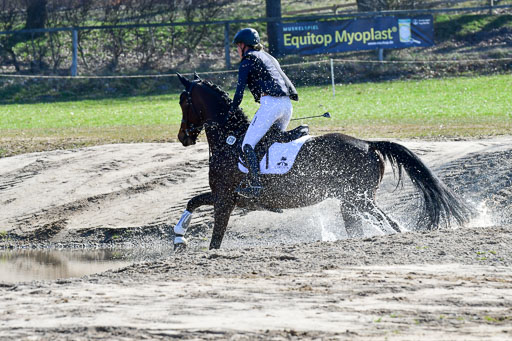 Luhmühlen Geländepferdetag 31.03.21 | 31032021 GPF A++  2 Abt_031 