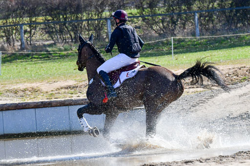 Luhmühlen Geländepferdetag 31.03.21 | 31032021 GPF A++  2 Abt_047 