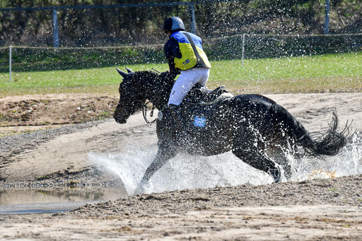 Luhmühlen Geländepferdetag 31.03.21 | 31032021 GPF A++  2 Abt_069 