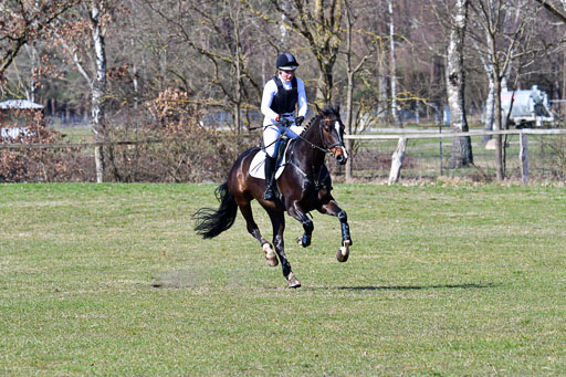 Luhmühlen Geländepferdetag 31.03.21 | 31032021 GPF A++  2 Abt_093 