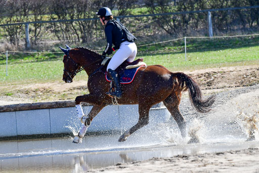 Luhmühlen Geländepferdetag 31.03.21 | 31032021 GPF A++  2 Abt_123 