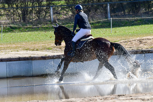 Luhmühlen Geländepferdetag 31.03.21 | 31032021 GPF A++  2 Abt_134 