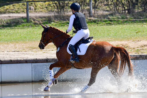 Luhmühlen Geländepferdetag 31.03.21 | 31032021 GPF A++  2 Abt_150 