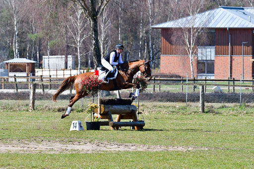 Luhmühlen Geländepferdetag 31.03.21 | 31032021 GPF A++  2 Abt_152 