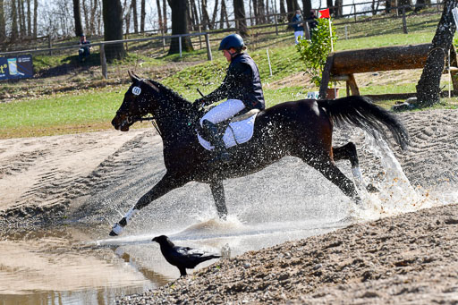 Luhmühlen Geländepferdetag 31.03.21 | 31032021 GPF A++  2 Abt_172 