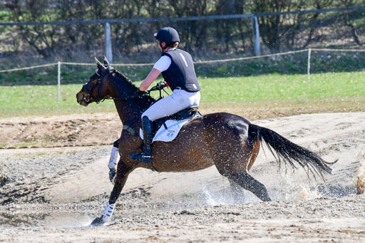 Luhmühlen Geländepferdetag 31.03.21 | 31032021 GPF A++  2 Abt_185 