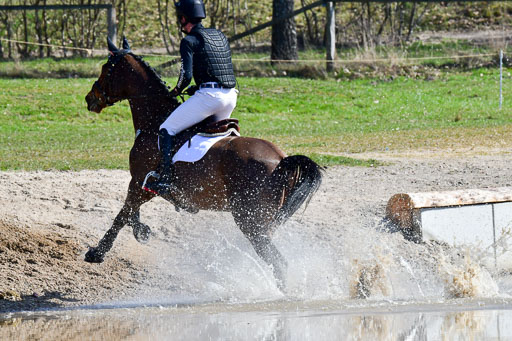 Luhmühlen Geländepferdetag 31.03.21 | 31032021 GPF A++  2 Abt_224 