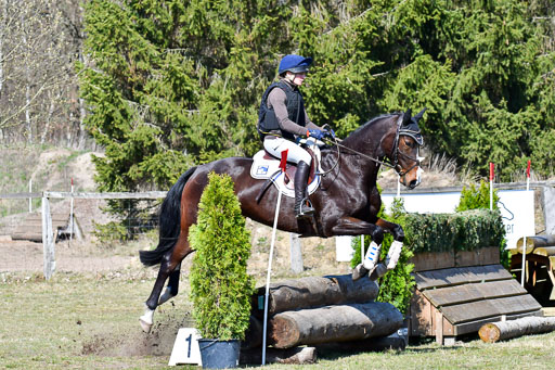 Luhmühlen Geländepferdetag 31.03.21 | 31032021 GPF A++  2 Abt_229 