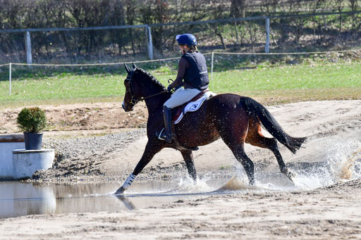 Luhmühlen Geländepferdetag 31.03.21 | 31032021 GPF A++  2 Abt_237 