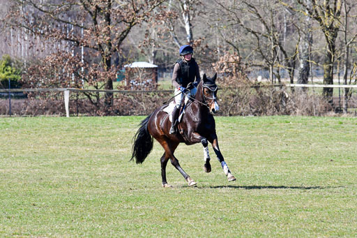 Luhmühlen Geländepferdetag 31.03.21 | 31032021 GPF A++  2 Abt_240 