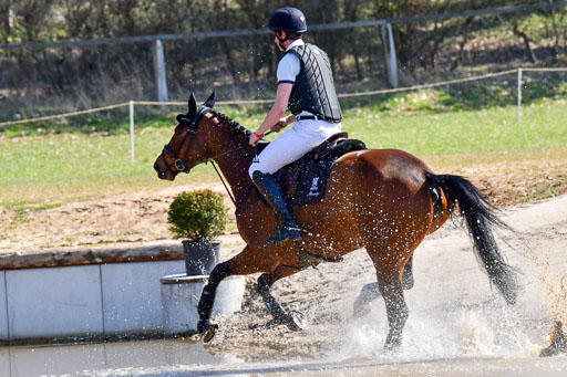 Luhmühlen Geländepferdetag 31.03.21 | 31032021 GPF A++  2 Abt_261 