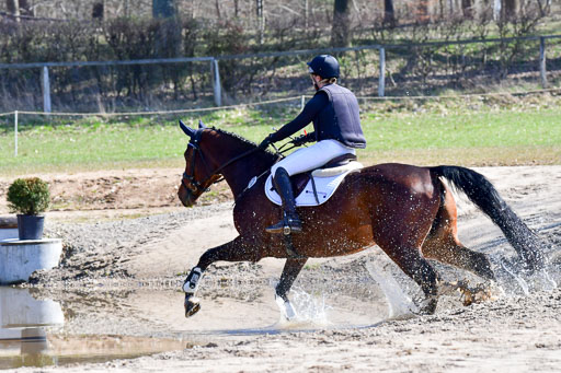 Luhmühlen Geländepferdetag 31.03.21 | 31032021 GPF A++  2 Abt_269 