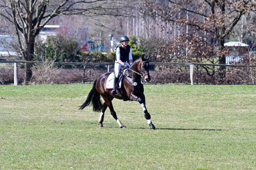 Luhmühlen Geländepferdetag 31.03.21 | 31032021 GPF A++  2 Abt_285 