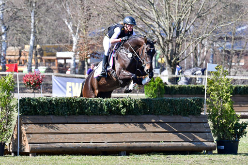 Luhmühlen Geländepferdetag 31.03.21 | 31032021 GPF A++  2 Abt_286 