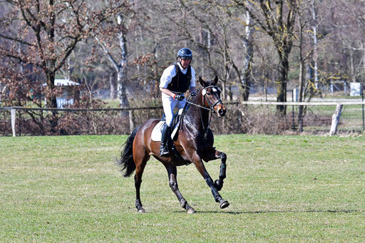 Luhmühlen Geländepferdetag 31.03.21 | 31032021 GPF A++  2 Abt_298 