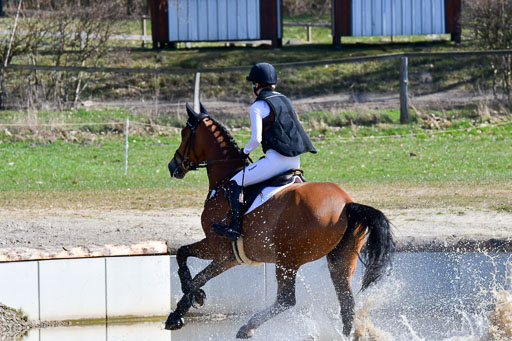 Luhmühlen Geländepferdetag 31.03.21 | 31032021 GPF A++  2 Abt_339 